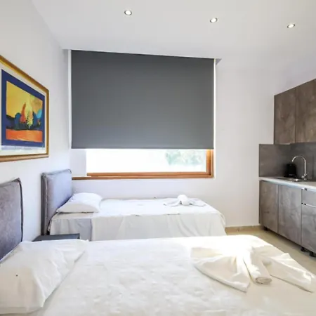 Sithonia Palace Apartment