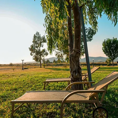 Διαμέρισμα Sithonia Palace