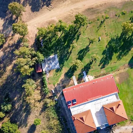 Sithonia Palace Διαμέρισμα