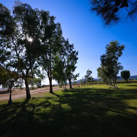 Sithonia Palace Διαμέρισμα