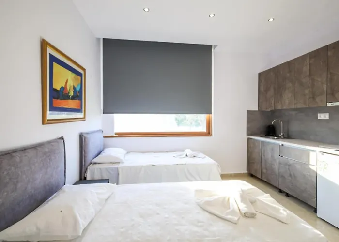 Sithonia Palace Appartement